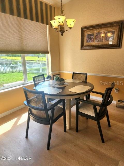 Image 8 of 24 For 704 Saw Palmetto Court