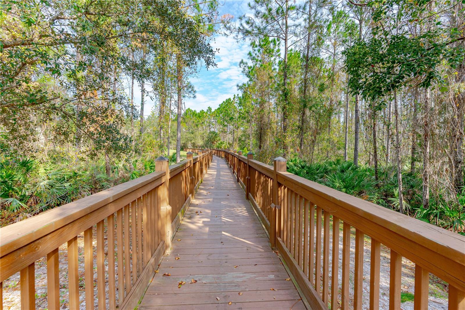 Image 68 of 72 For 20 Abacus Avenue