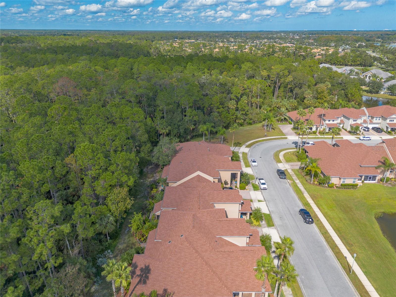 Image 47 of 61 For 3573 Romea Circle