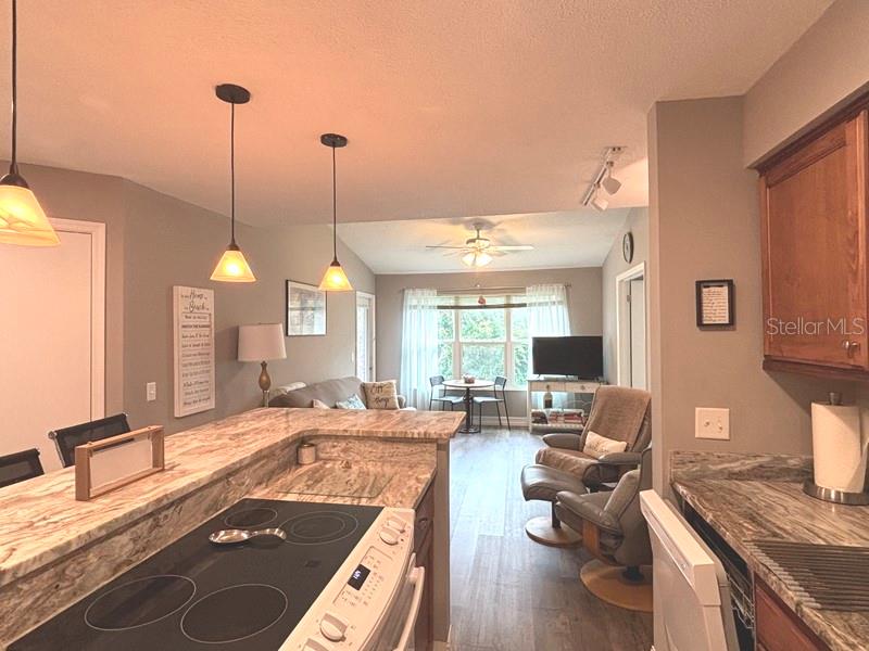 Image 19 of 23 For 1401 Palmetto Avenue 817