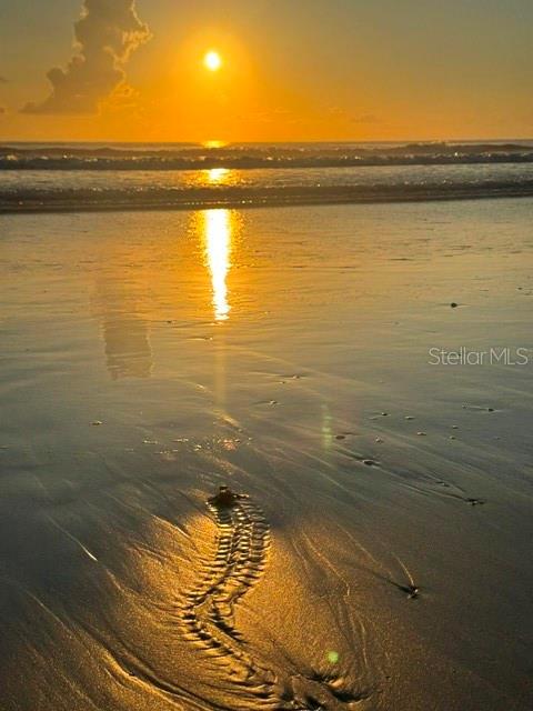 Image 64 of 69 For 4139 Atlantic Avenue S A 205