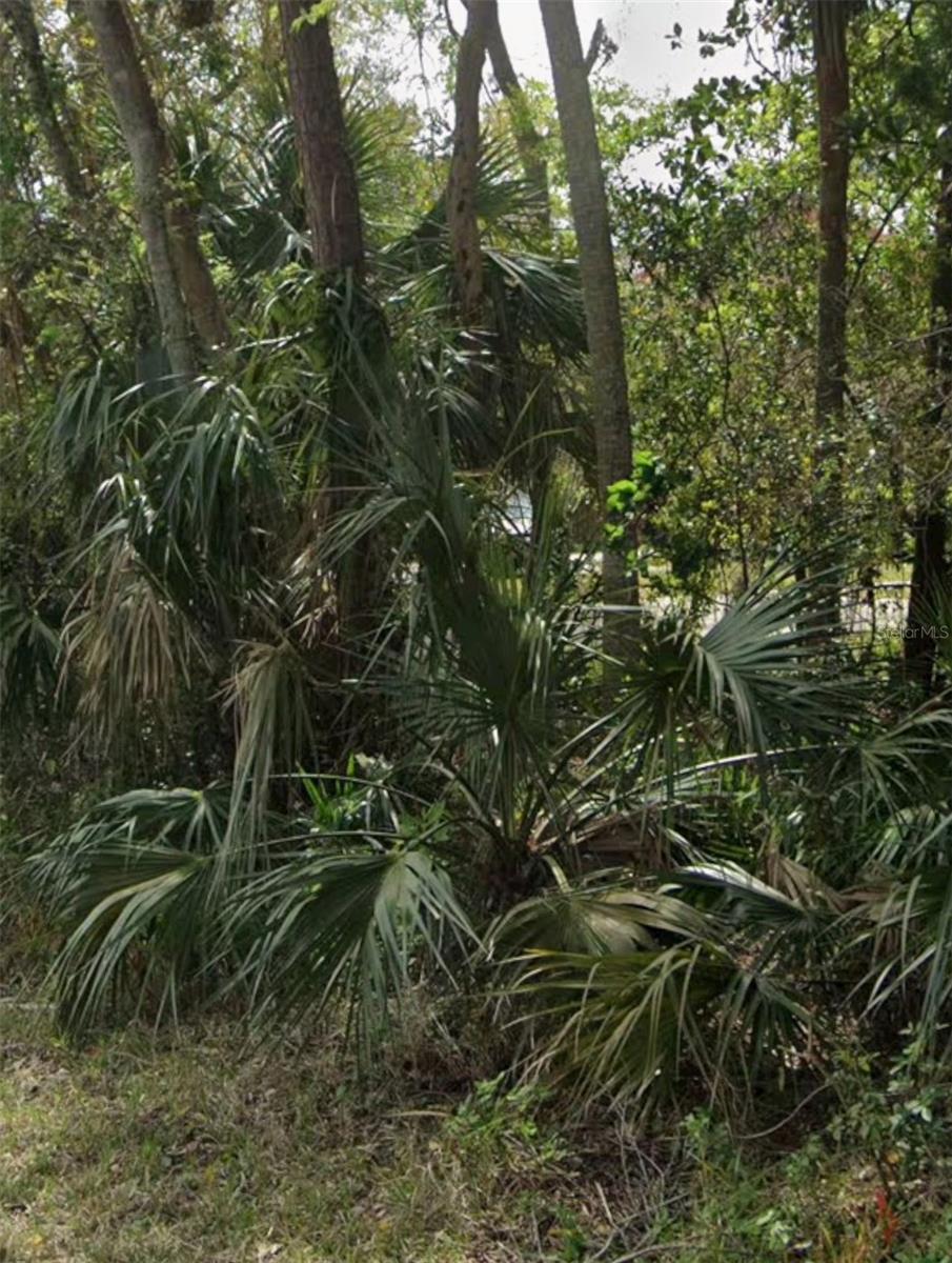 Image 3 of 4 For 960 Mcdonald