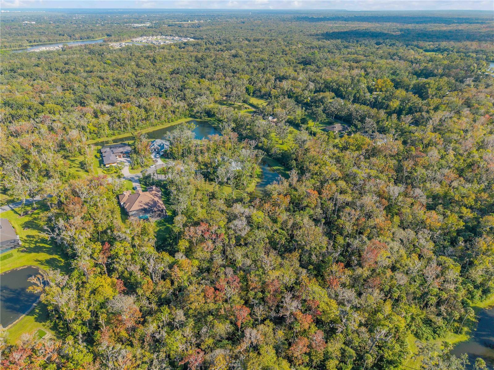 Image 10 of 20 For 2304 Legacy Lane