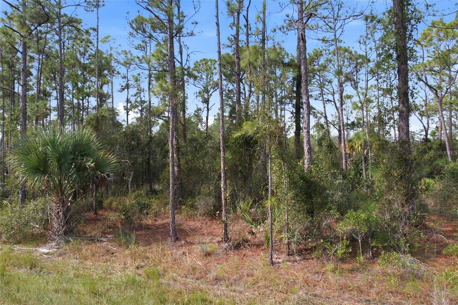 Details for Einstein Street, NORTH PORT, FL 34291