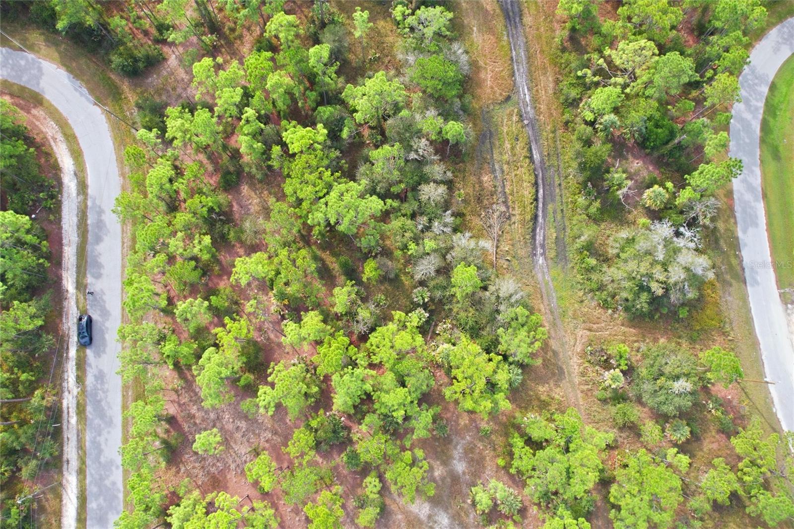 Image 10 of 11 For Einstein Street