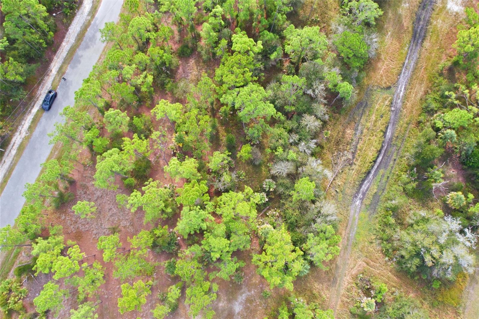 Image 11 of 11 For Einstein Street