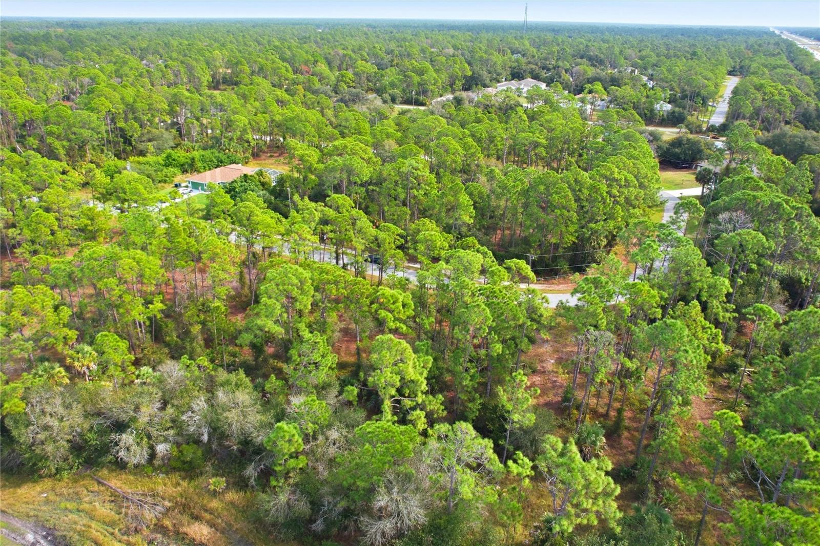 Image 8 of 11 For Einstein Street