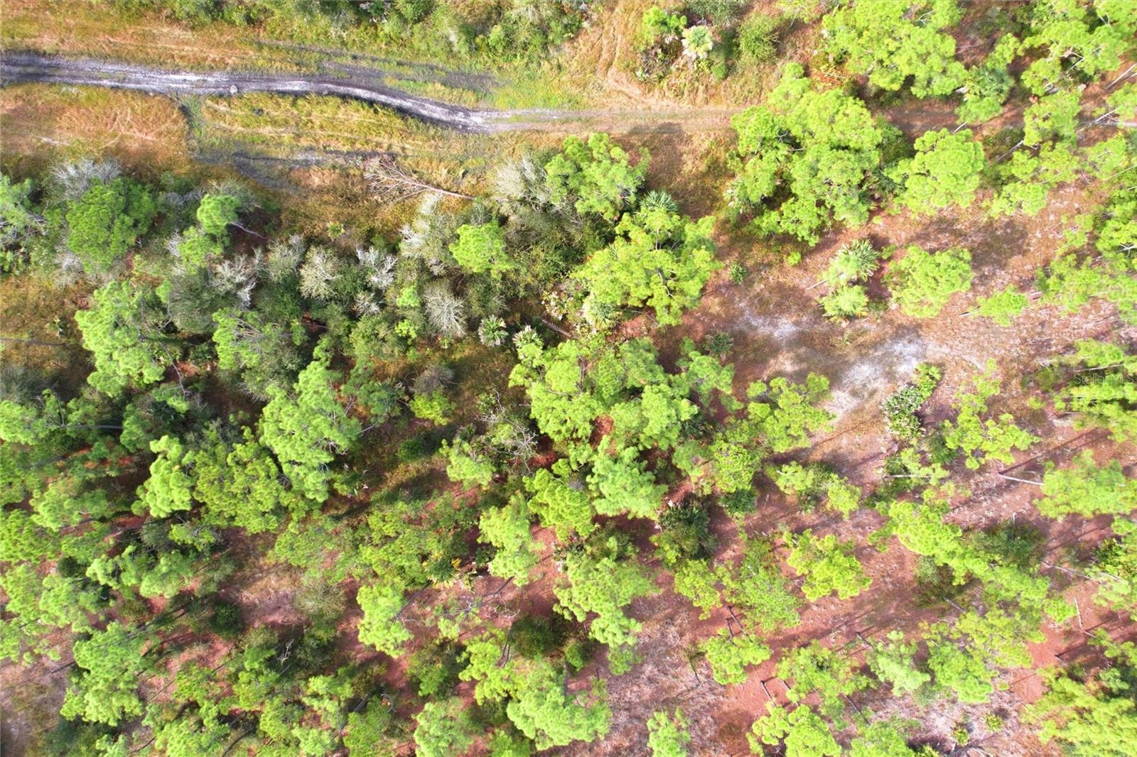 Image 9 of 11 For Einstein Street