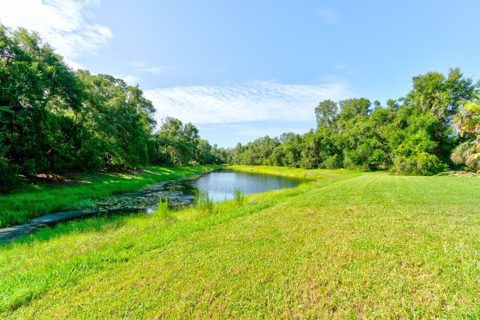 Image 42 of 44 For 58 Emerald Oaks Lane