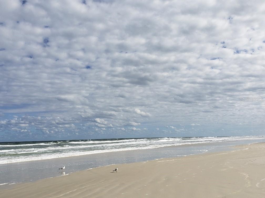 Image 57 of 62 For 257 Golf Club Drive