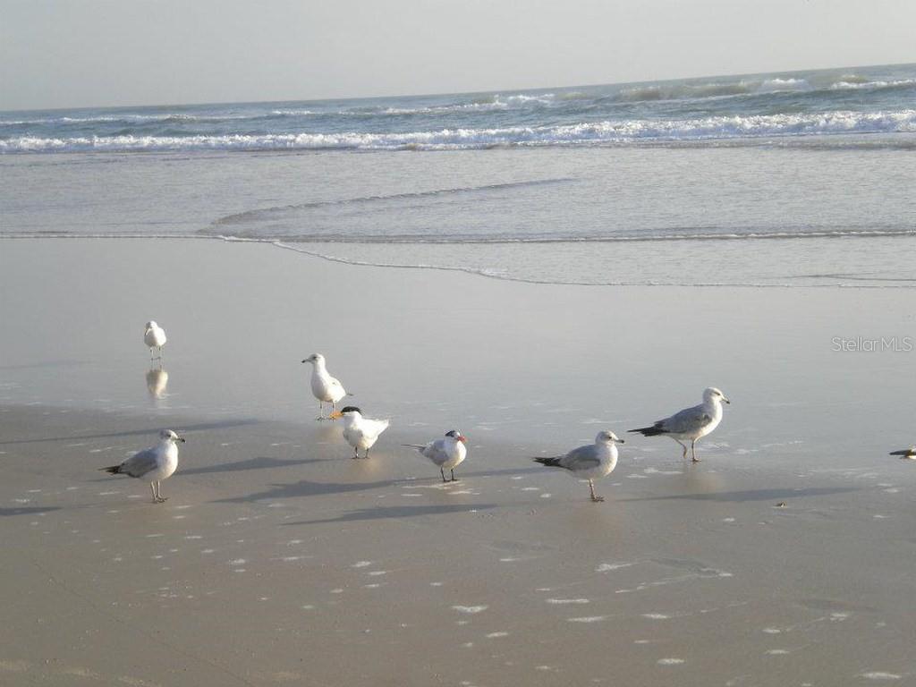 Image 79 of 83 For 2815 Bay Side Drive