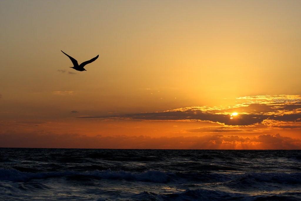 Image 82 of 83 For 2815 Bay Side Drive