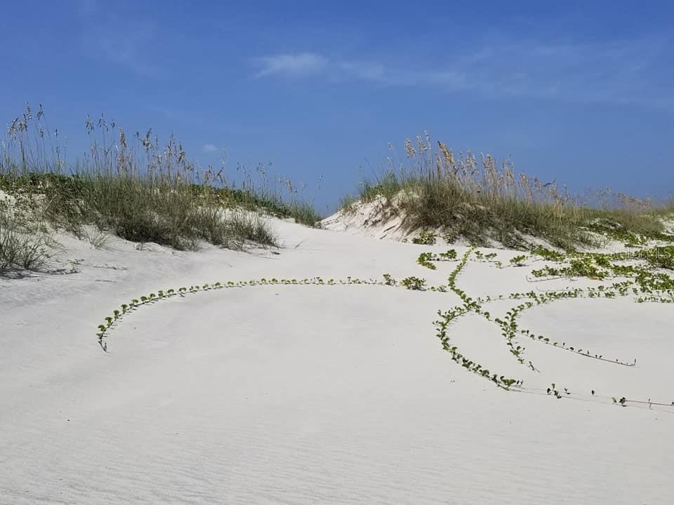 Image 83 of 83 For 2815 Bay Side Drive