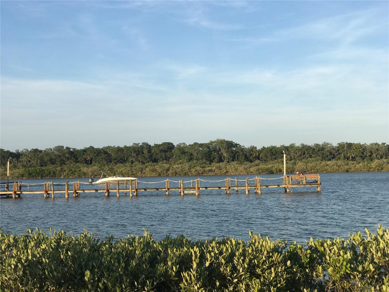 Image 2 of 23 For 4337 Indian River Drive W