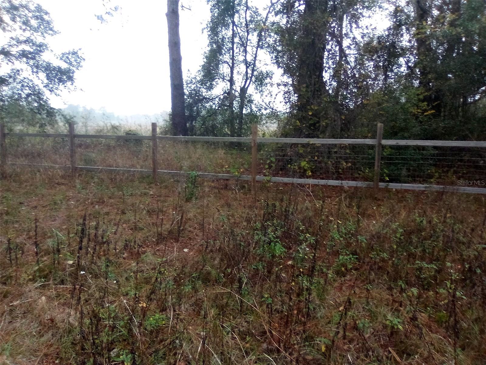 Image 17 of 18 For 44721 Forest View Road