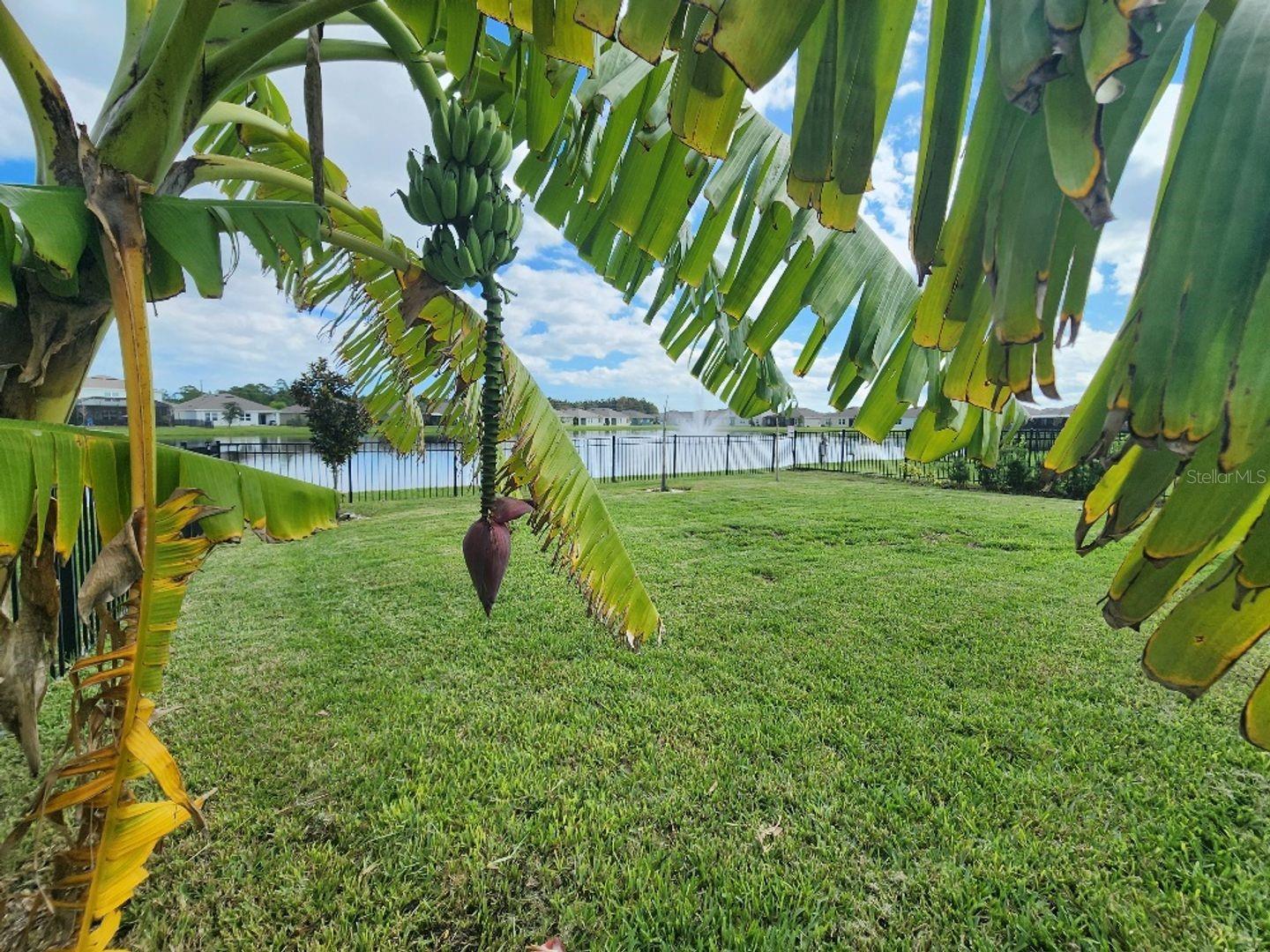 Image 22 of 25 For 915 Noble Run