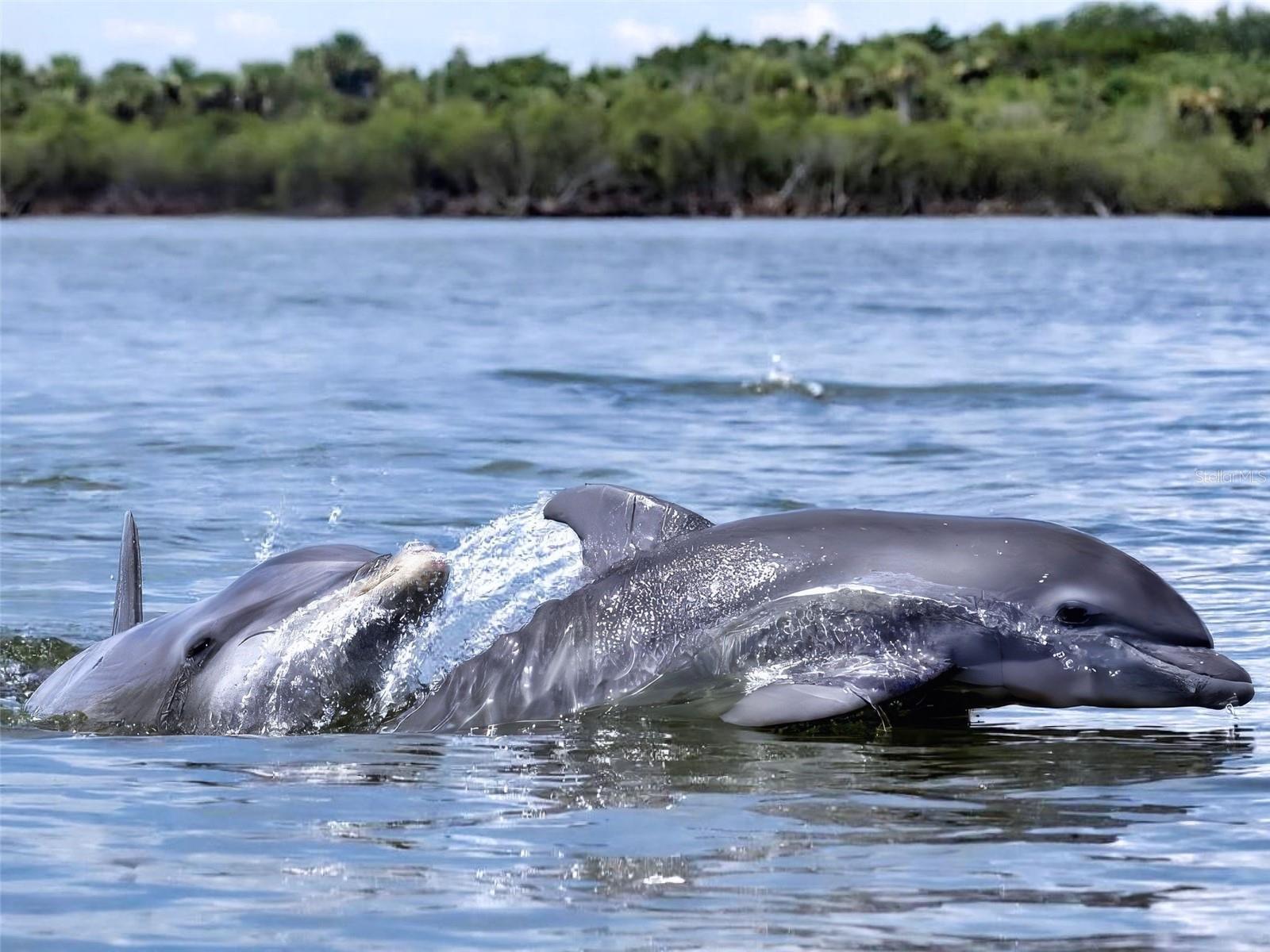 Image 42 of 43 For 438 Bouchelle Drive 105