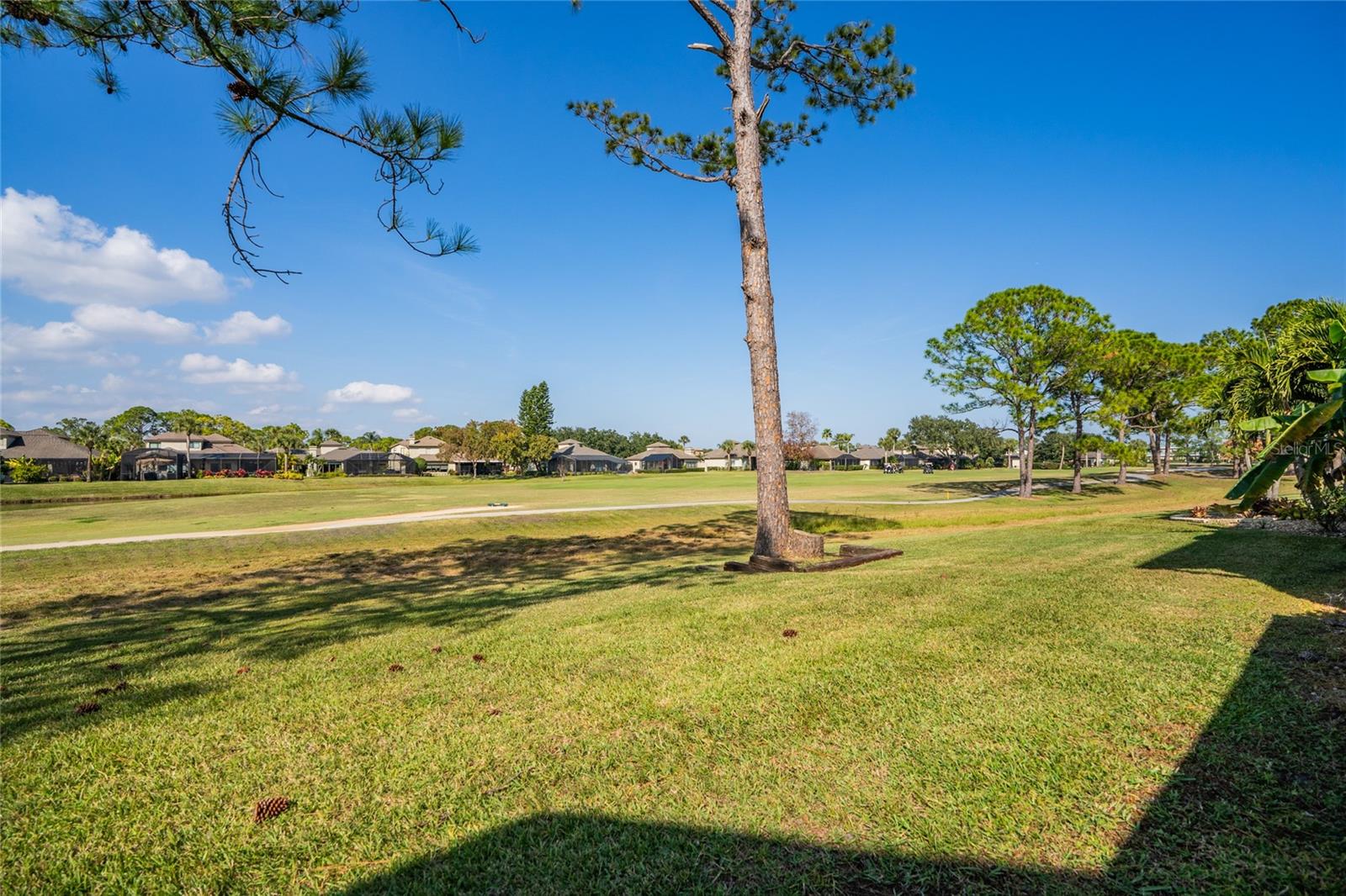 Image 32 of 56 For 1985 Rutgers Place 1985