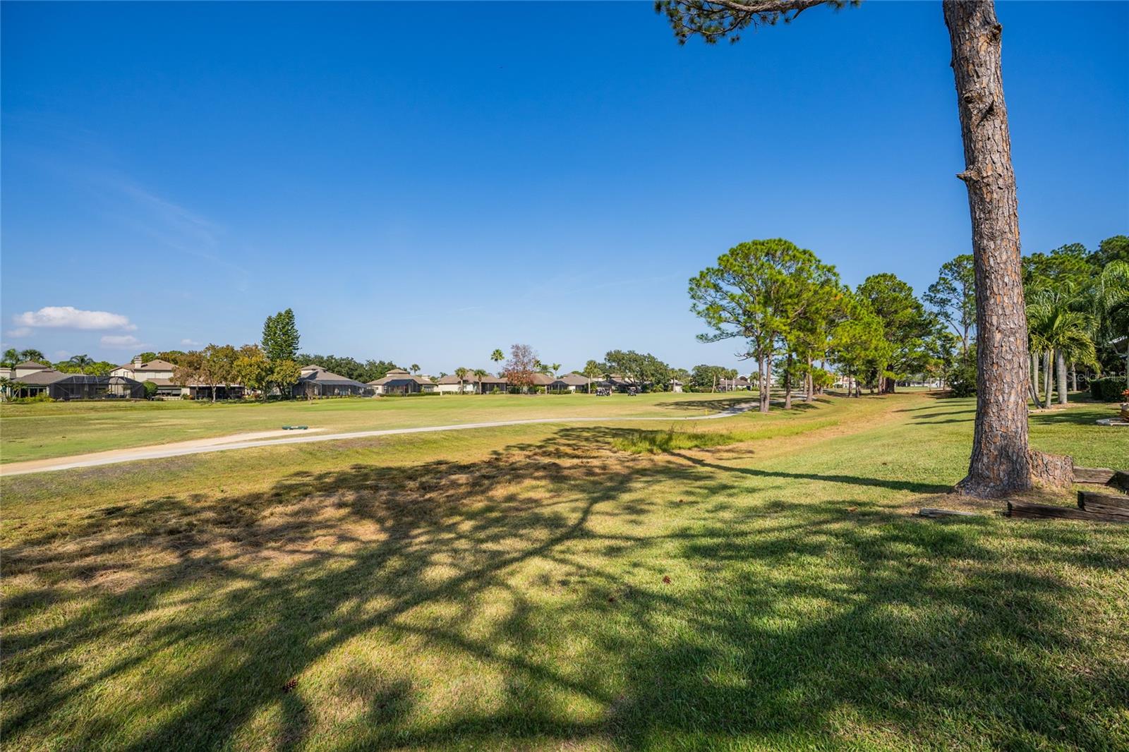 Image 33 of 56 For 1985 Rutgers Place 1985