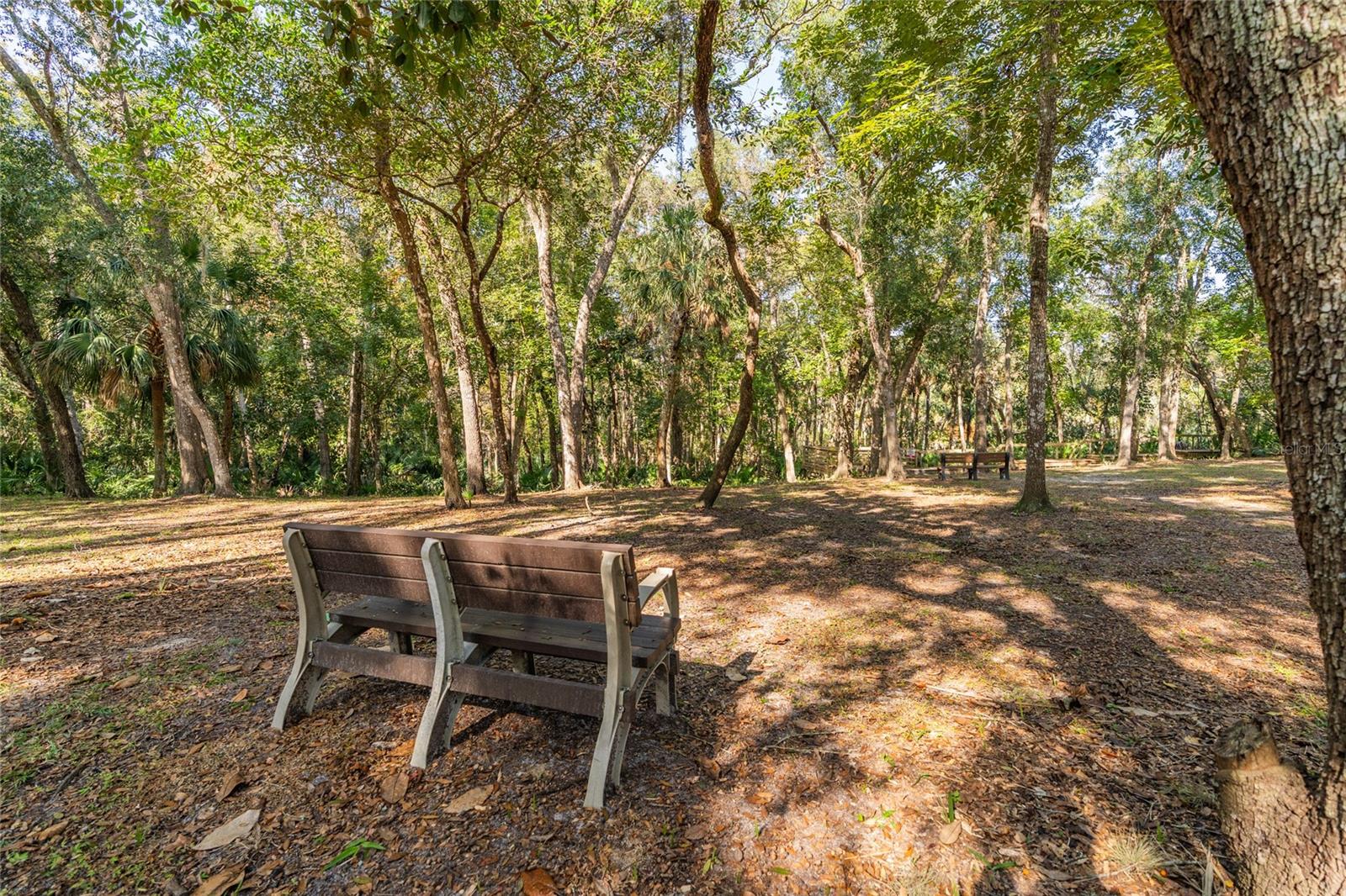 Image 51 of 56 For 1985 Rutgers Place 1985