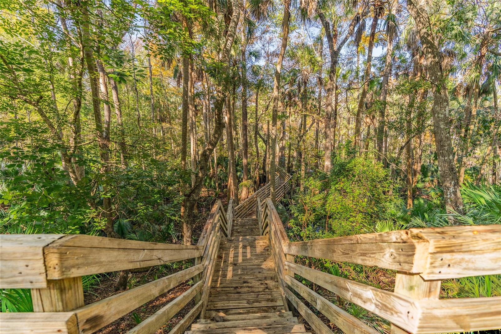 Image 52 of 56 For 1985 Rutgers Place 1985