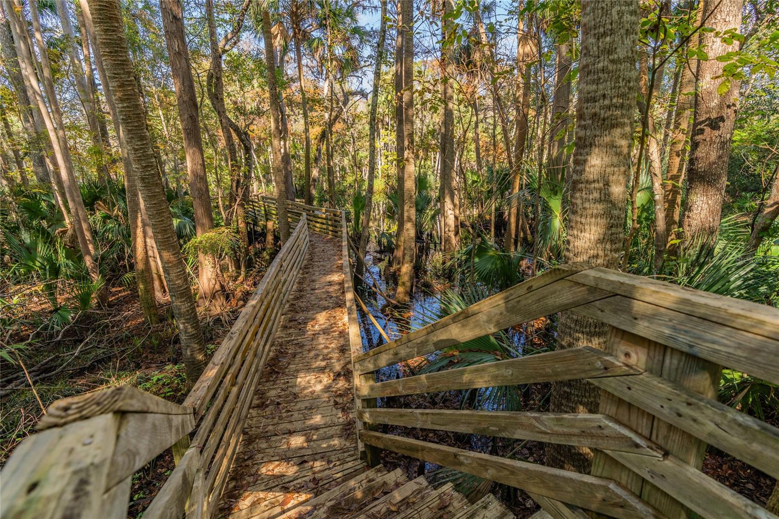 Image 53 of 56 For 1985 Rutgers Place 1985