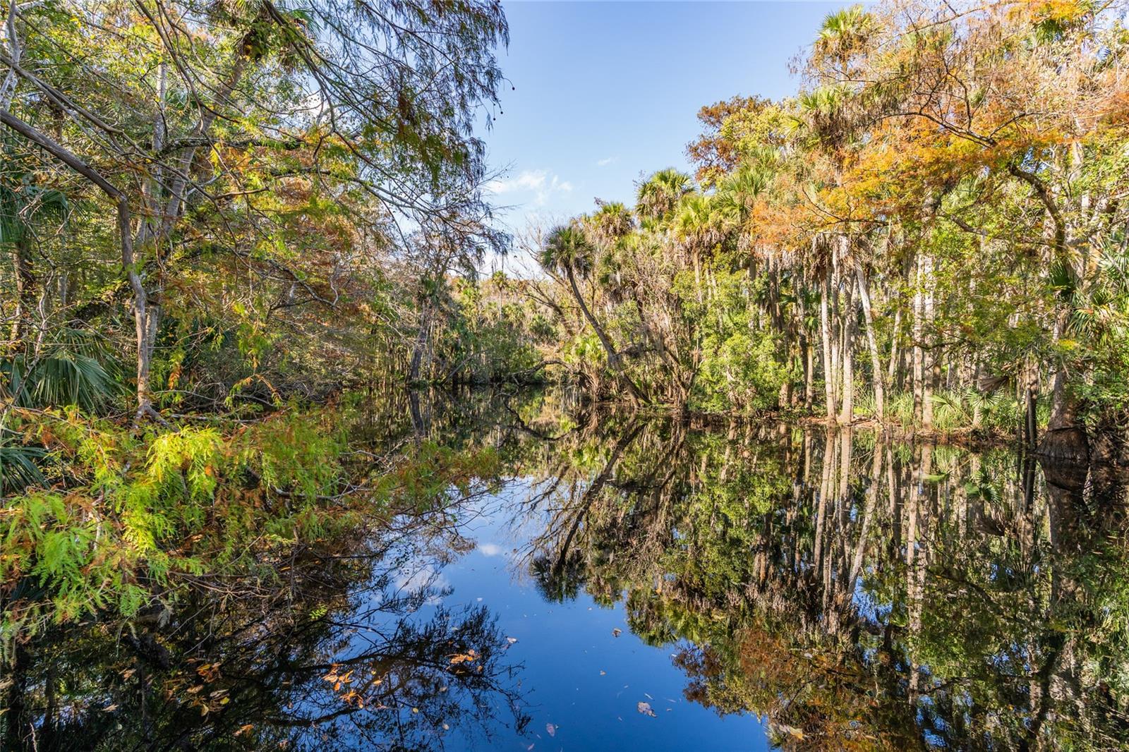Image 56 of 56 For 1985 Rutgers Place 1985