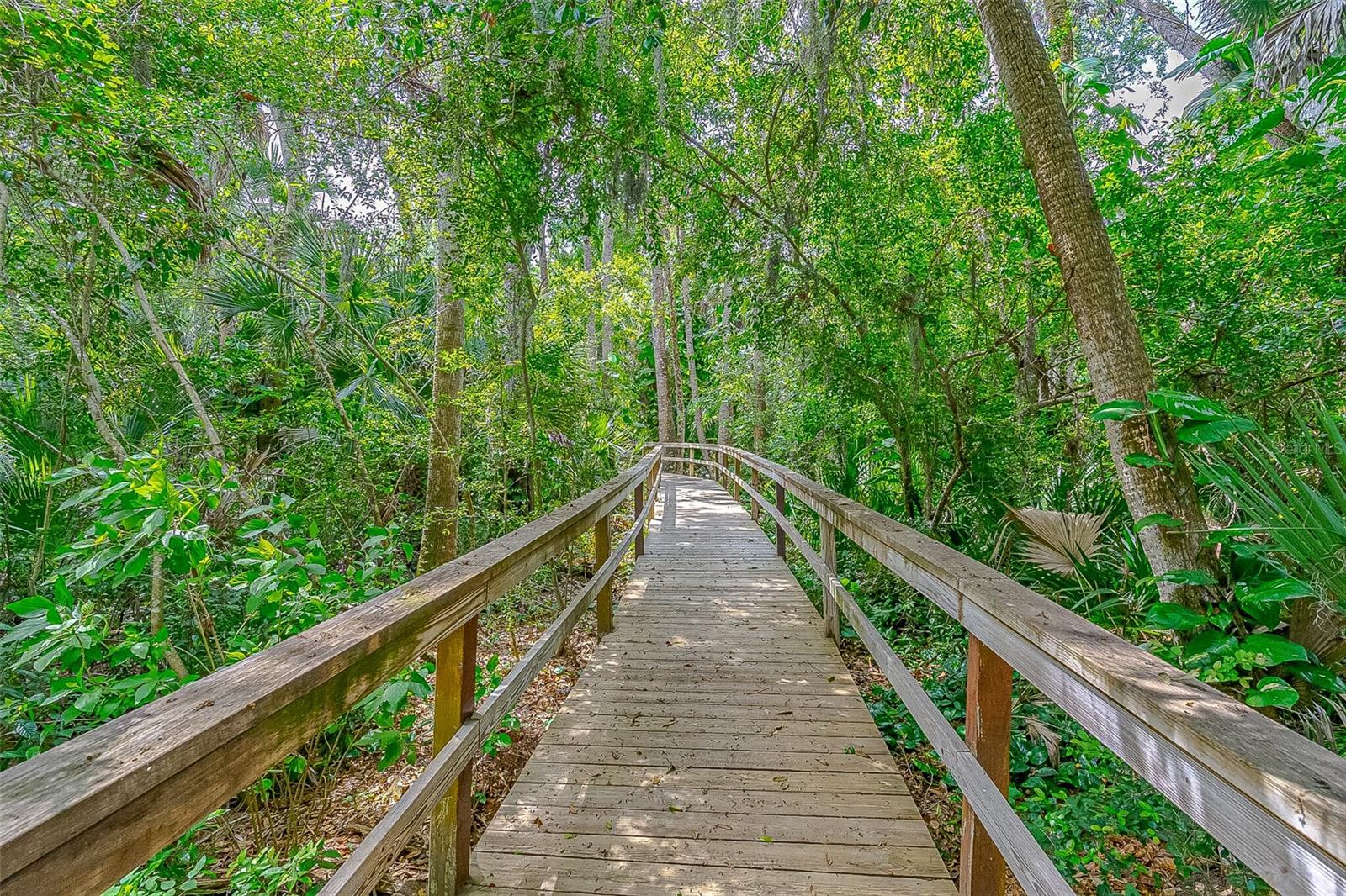 Image 43 of 54 For 509 Starboard Avenue