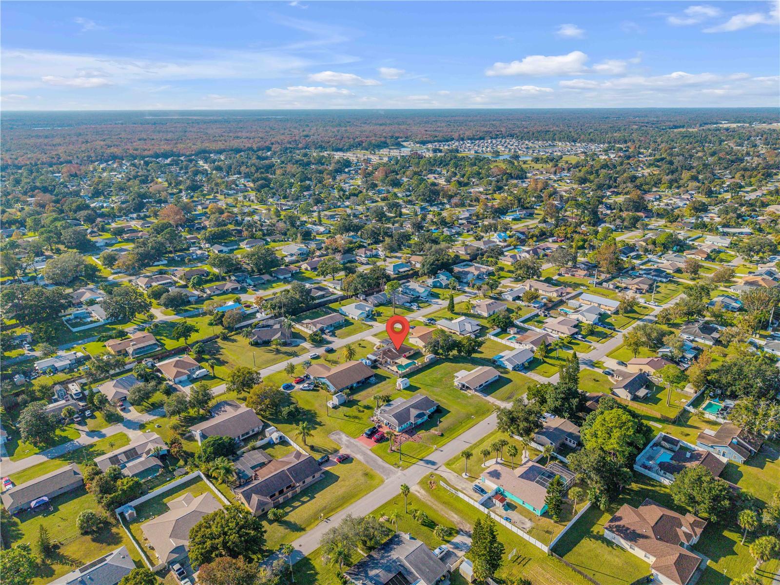 Image 32 of 33 For 2425 Travelers Palm Drive