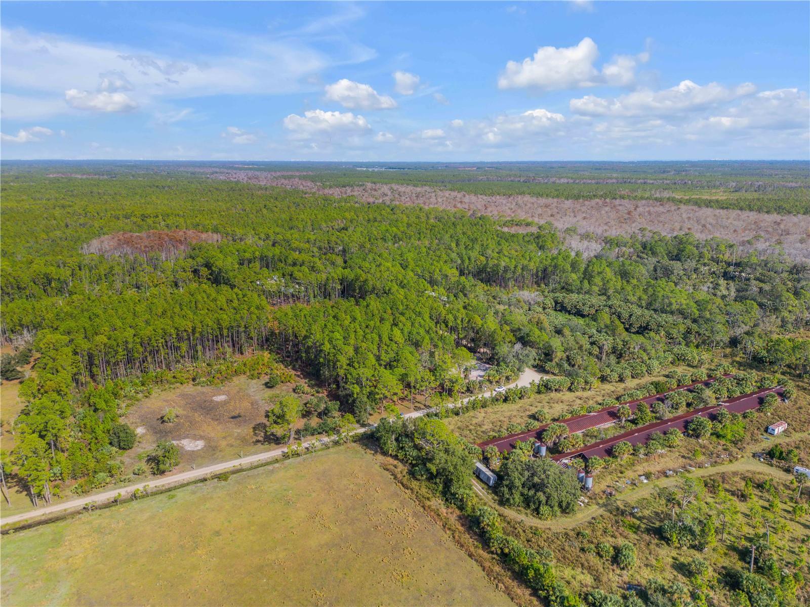 Image 11 of 38 For 490 Samsula Drive