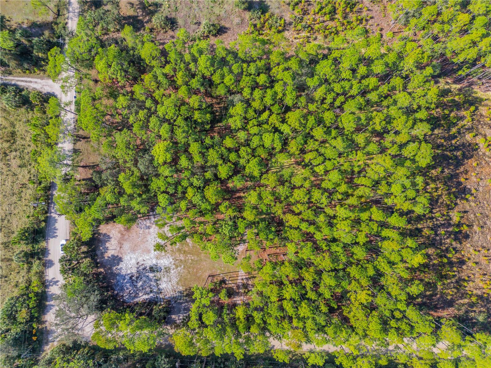 Image 13 of 38 For 490 Samsula Drive