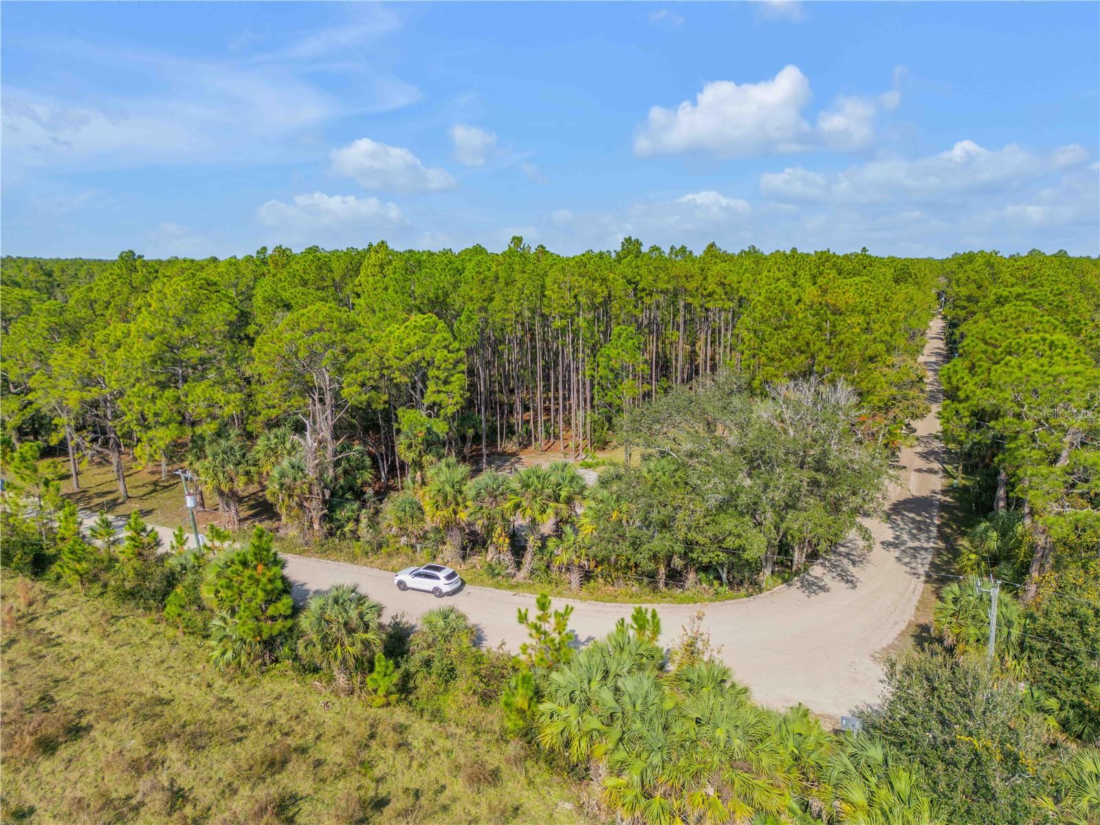 Image 2 of 38 For 490 Samsula Drive