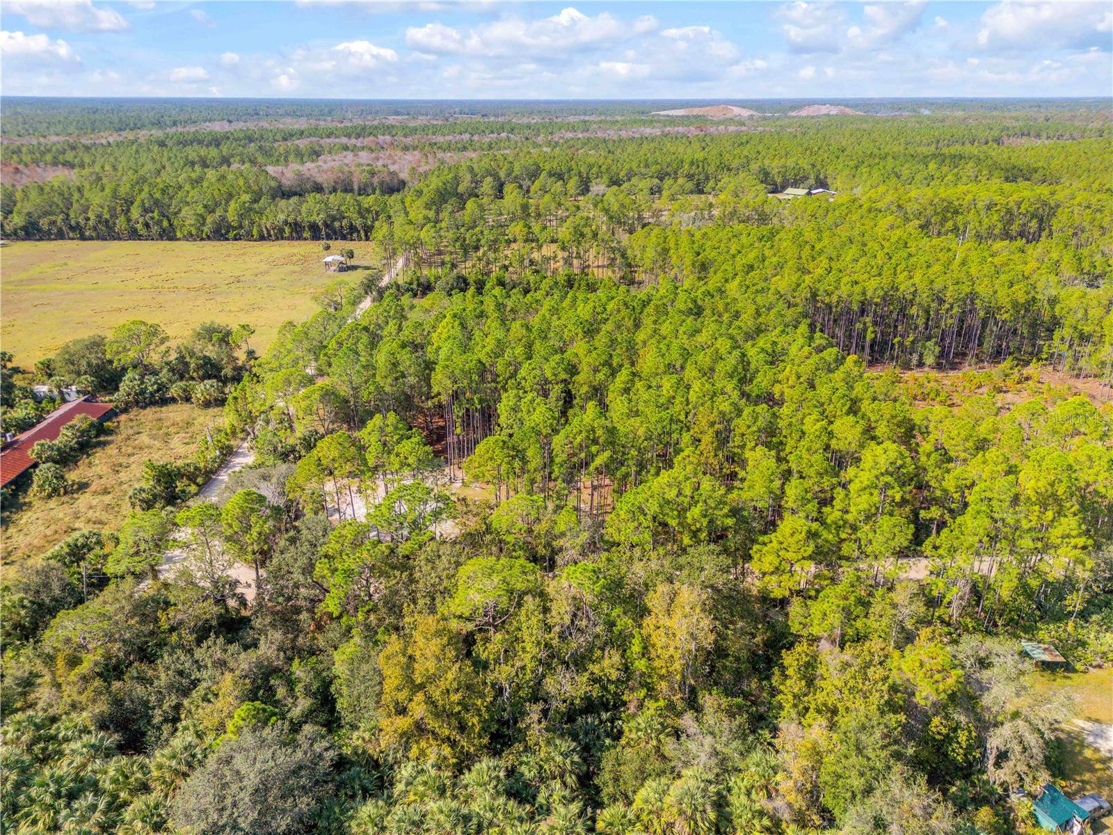 Image 21 of 38 For 490 Samsula Drive