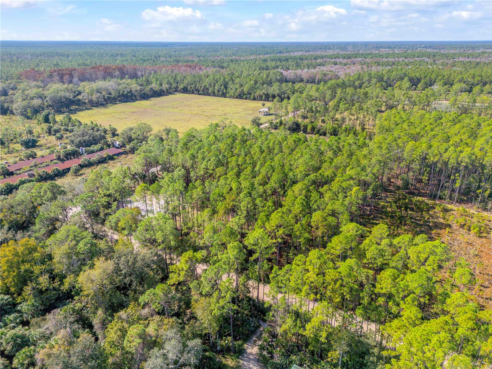 Image 22 of 38 For 490 Samsula Drive