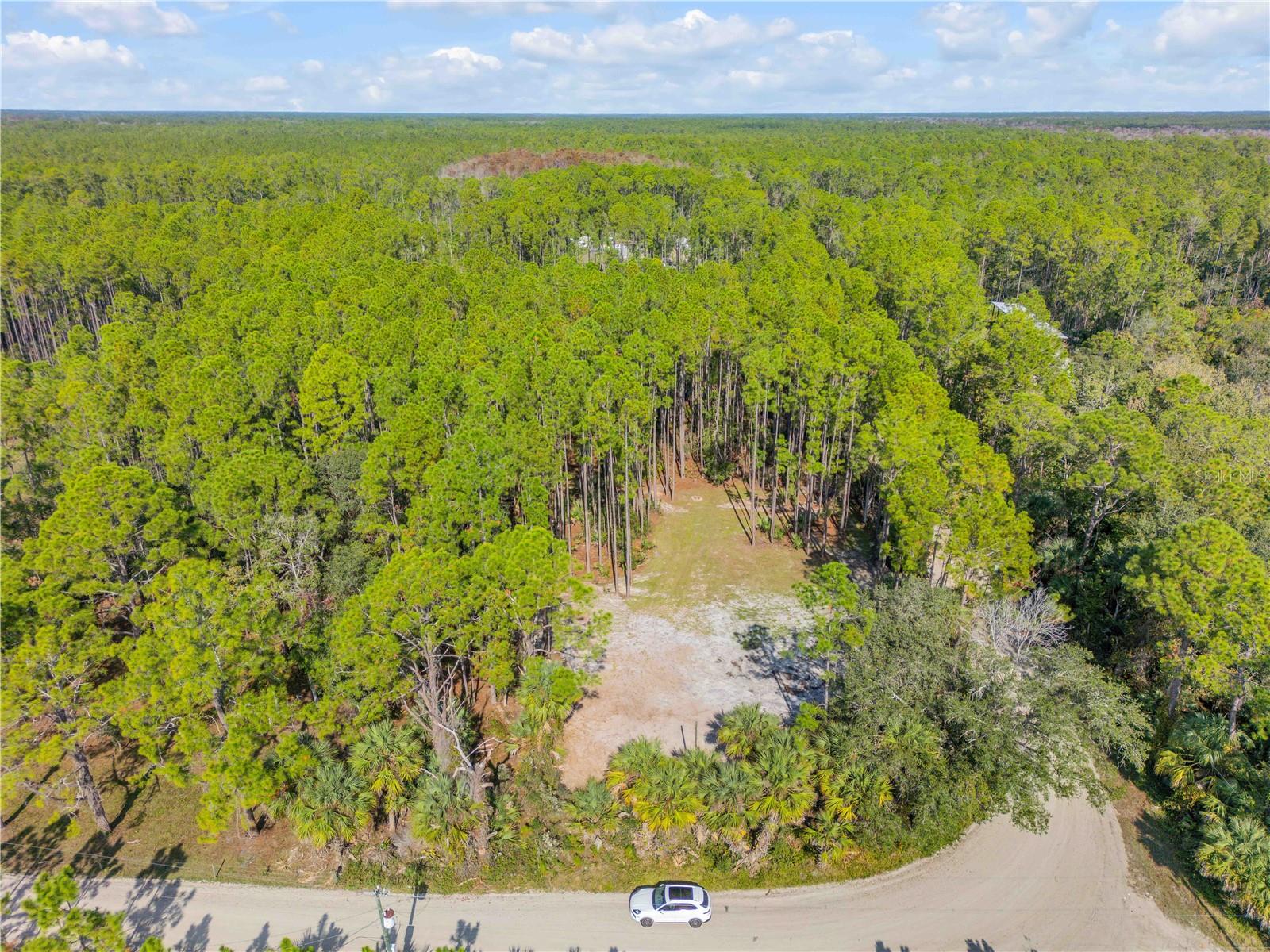 Image 30 of 38 For 490 Samsula Drive