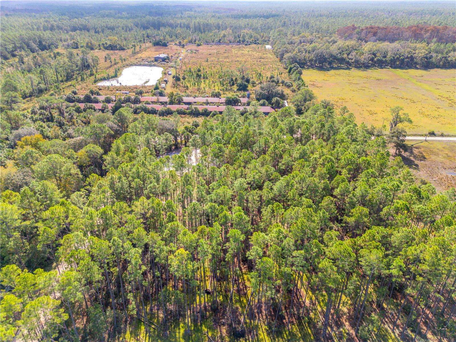 Image 31 of 38 For 490 Samsula Drive