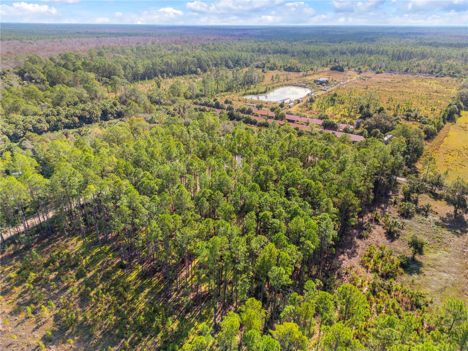 Image 33 of 38 For 490 Samsula Drive