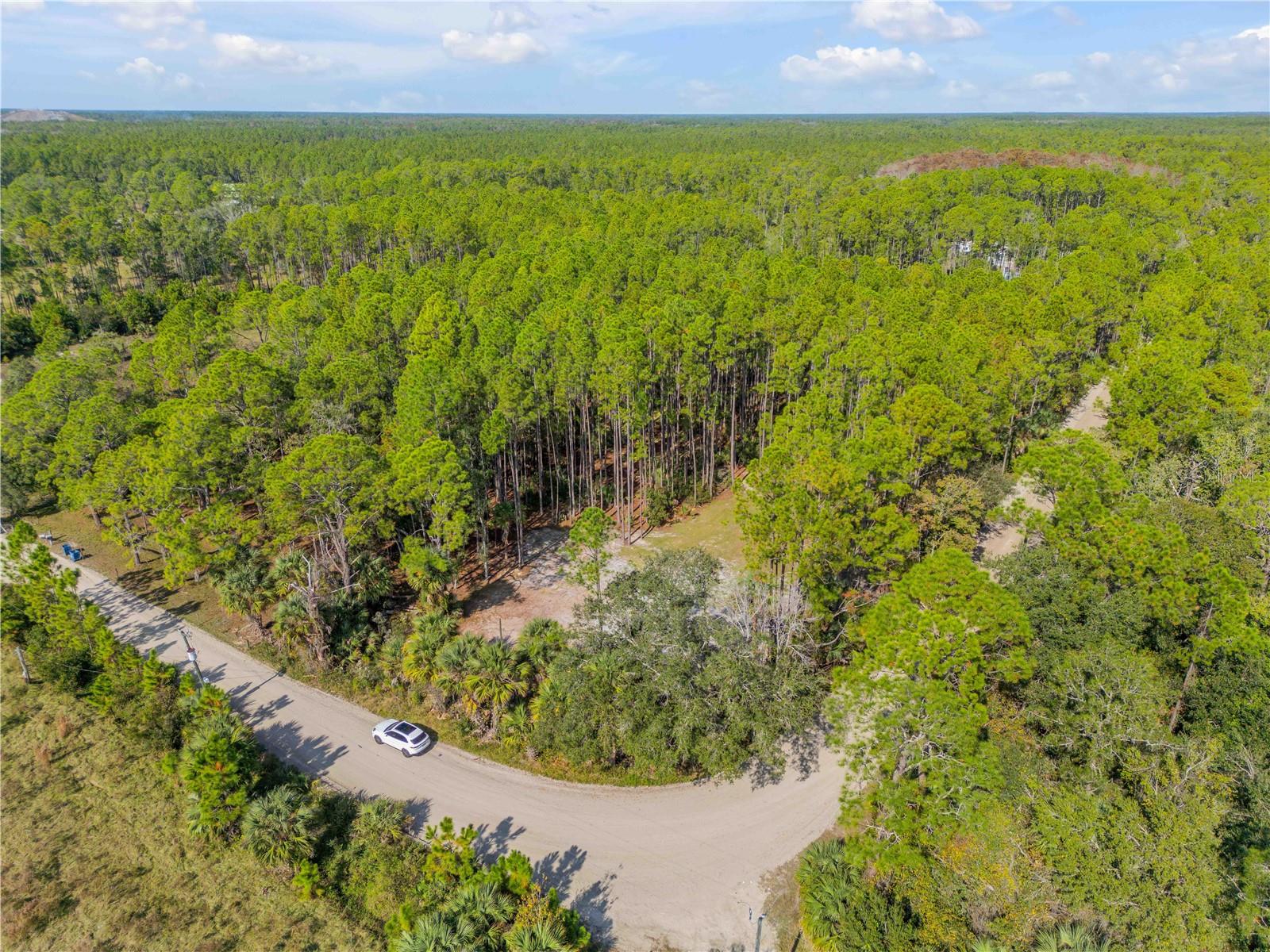 Image 37 of 38 For 490 Samsula Drive