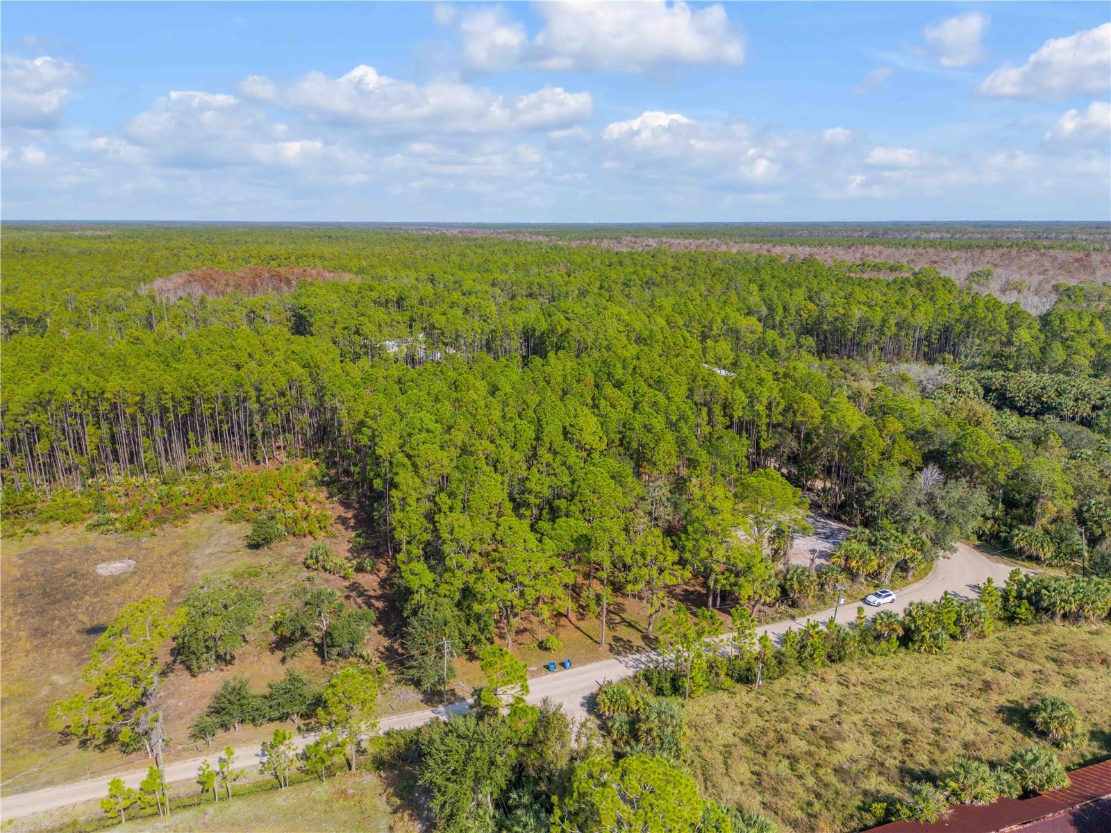 Image 4 of 38 For 490 Samsula Drive