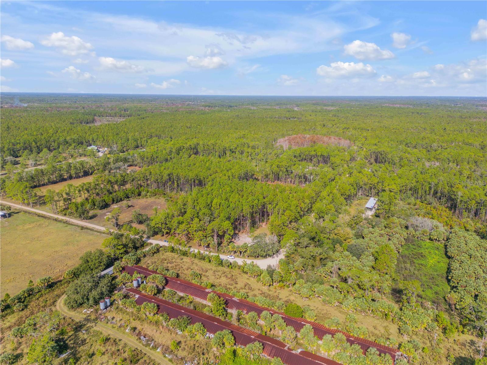 Image 7 of 38 For 490 Samsula Drive