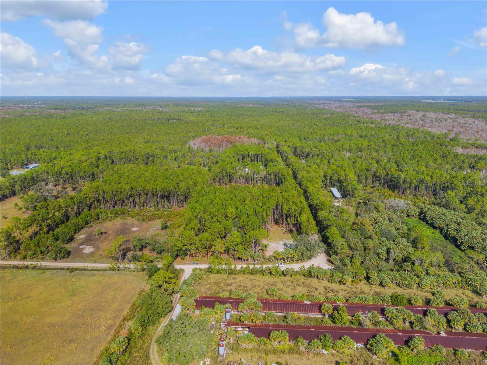 Image 9 of 38 For 490 Samsula Drive