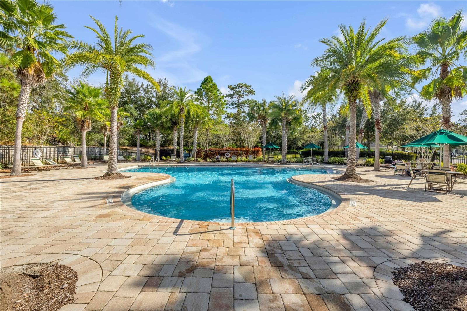 Image 57 of 64 For 1561 Chelsea Manor Circle