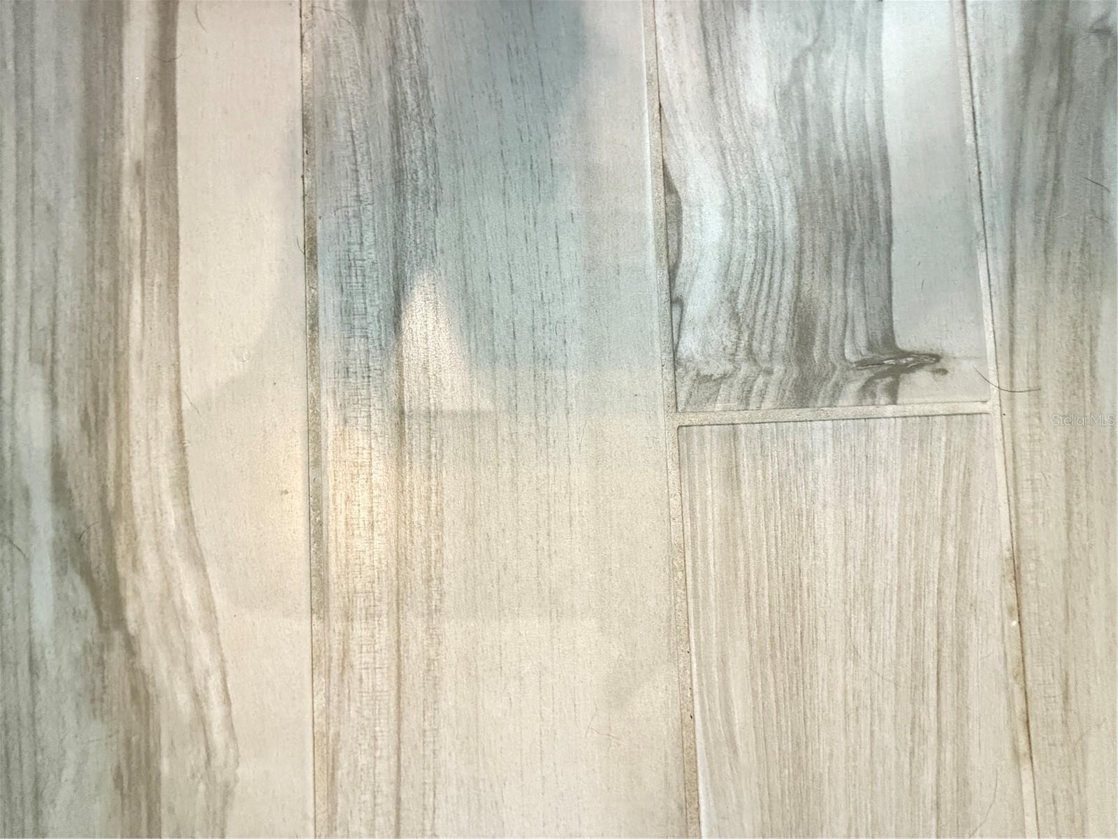 Image 29 of 41 For 3218 Medici Boulevard