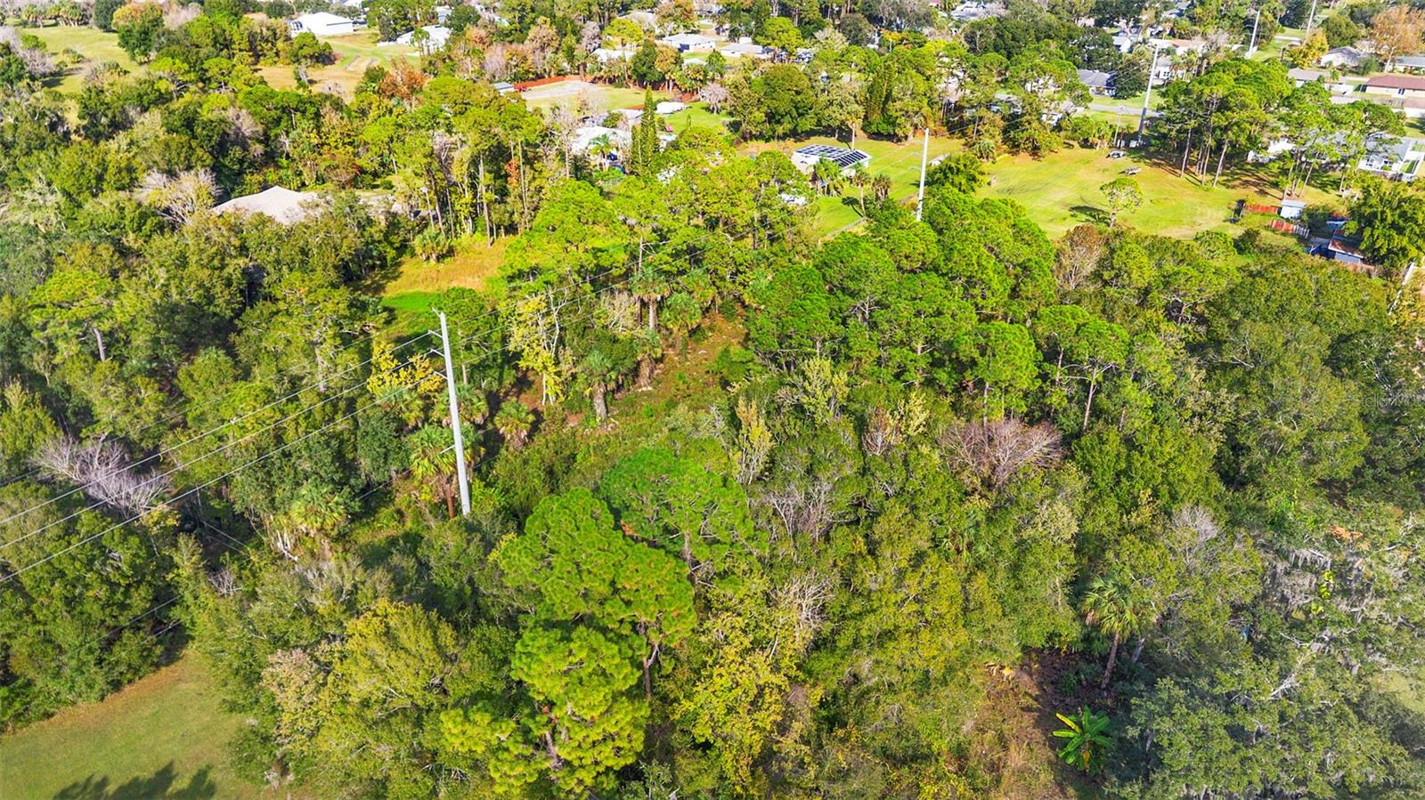 Image 4 of 16 For Pinedale Road