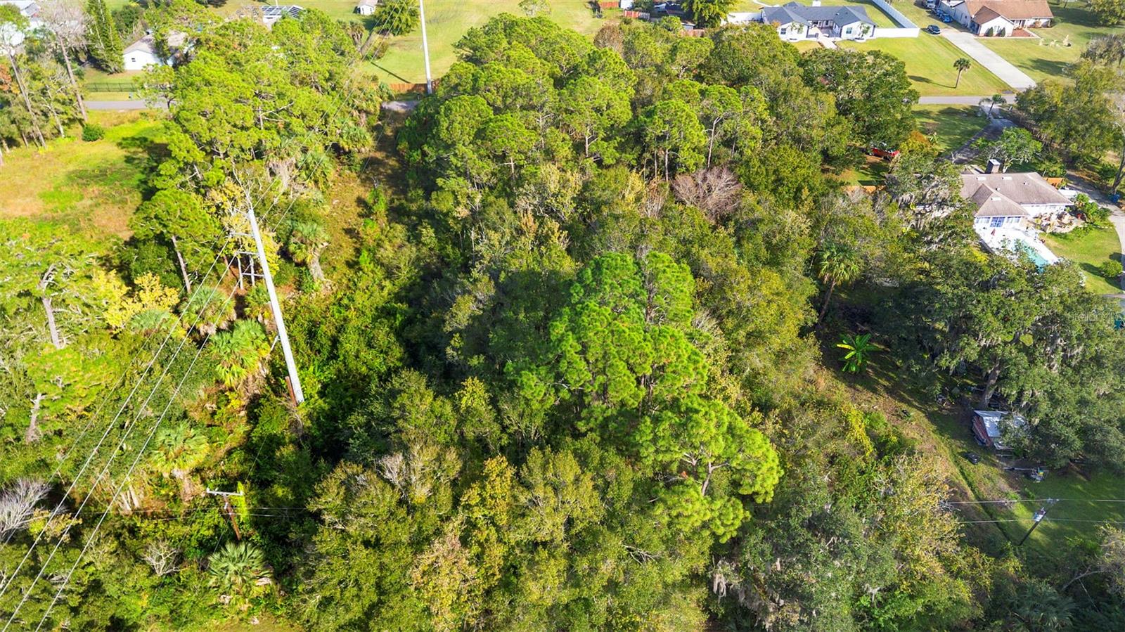 Image 9 of 16 For Pinedale Road