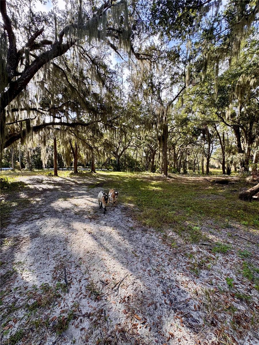 Image 22 of 29 For 480 Clinton Cemetery Road