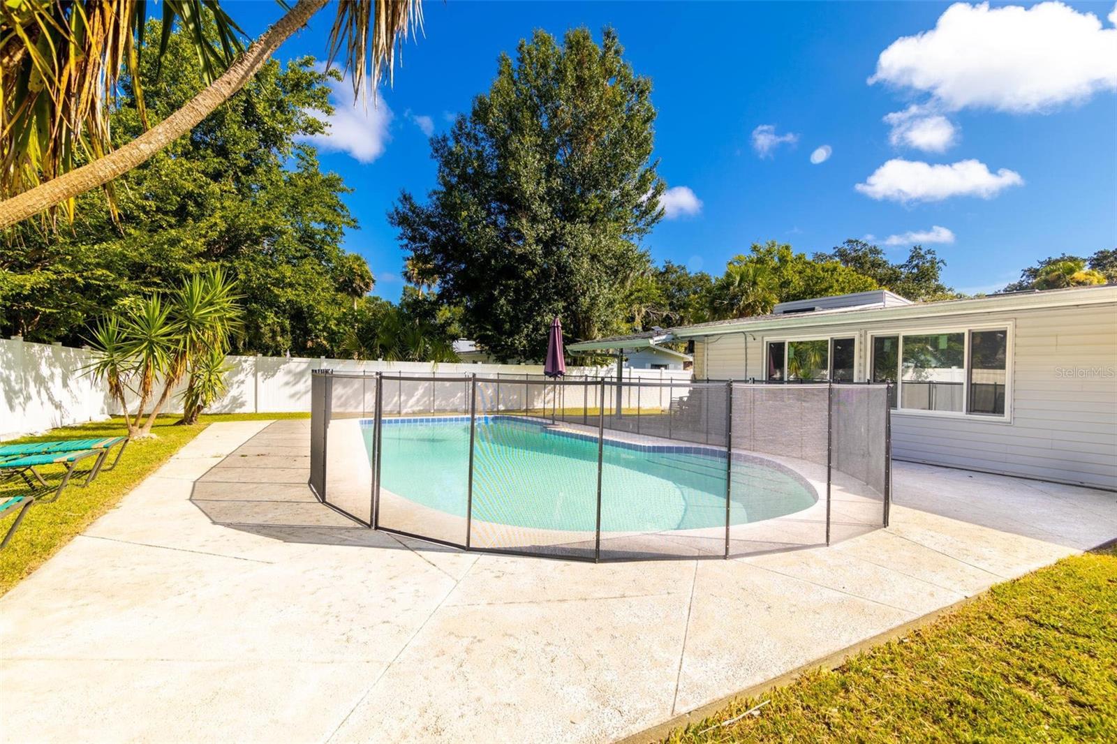 Image 5 of 16 For 1858 Pine Tree