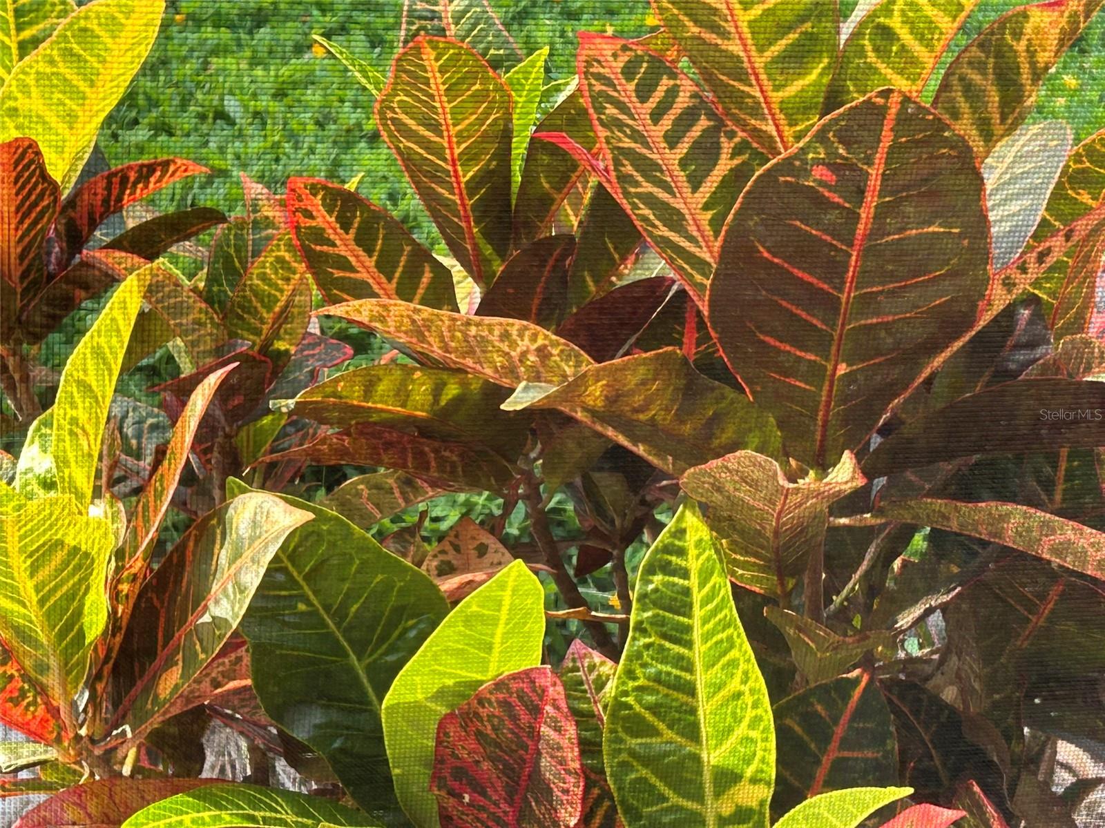 Image 43 of 52 For 810 9th Avenue