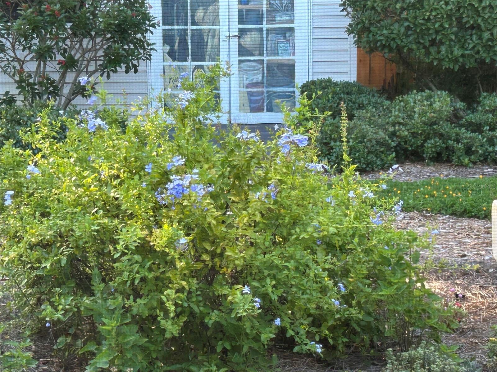 Image 44 of 52 For 810 9th Avenue