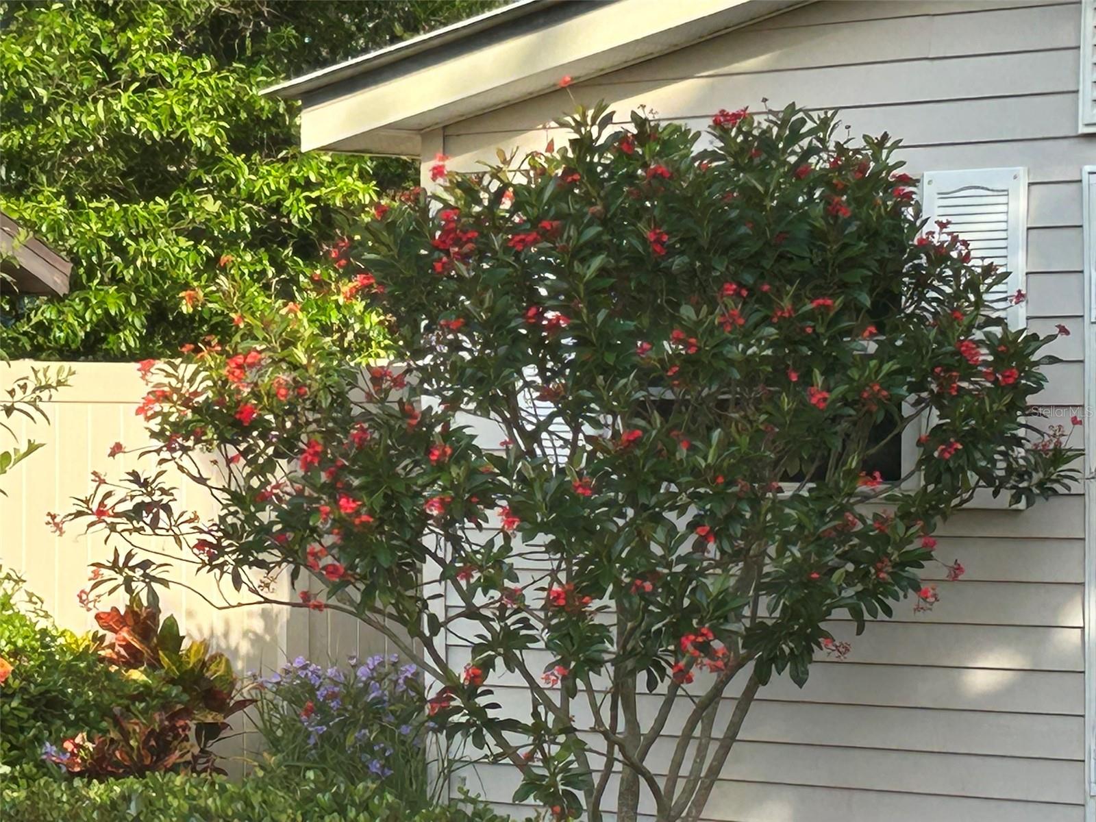 Image 45 of 52 For 810 9th Avenue